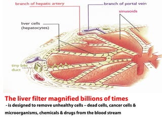 Liver%20project | PDF