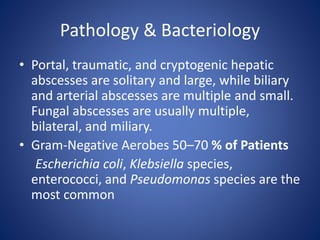 Liver abcess | PPTX