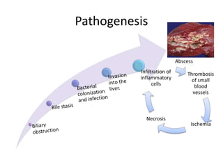 Liver abscess | PPTX