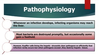 Pathophysiology
Whenever an infection develops, infecting organisms may reach
the liver.
Most bacteria are destroyed promptly, but occasionally some
gain a foothold.
However, Kupffer cells lining the hepatic sinusoids clear pathogens so efficiently that
infection rarely occurs but when pathogens exceed ,they destroy hepatic tissue.
 