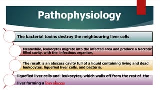 Pathophysiology
The bacterial toxins destroy the neighbouring liver cells
Meanwhile, leukocytes migrate into the infected area and produce a Necrotic
filled cavity, with the infectious organism,
The result is an abscess cavity full of a liquid containing living and dead
leukocytes, liquefied liver cells, and bacteria.
liquefied liver cells and leukocytes, which walls off from the rest of the
liver forming a liverabscess
 