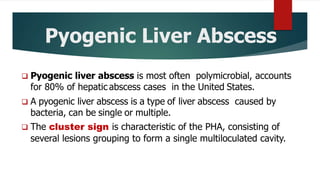 Pyogenic Liver Abscess
 Pyogenic liver abscess is most often polymicrobial, accounts
for 80% of hepatic abscess cases in the United States.
 A pyogenic liver abscess is a type of liver abscess caused by
bacteria, can be single or multiple.
 The cluster sign is characteristic of the PHA, consisting of
several lesions grouping to form a single multiloculated cavity.
 
