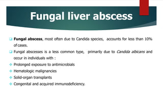 Fungal liver abscess
 Fungal abscess, most often due to Candida species, accounts for less than 10%
of cases.
 Fungal abscesses is a less common type, primarily due to Candida albicans and
occur in individuals with :
 Prolonged exposure to antimicrobials
 Hematologic malignancies
 Solid-organ transplants
 Congenital and acquired immunodeficiency.
 