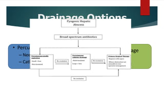 Drainage Options
• Percutaneous
– Needle aspiration
– Catheter drainage
• Surgical drainage
– Open
– Laparoscopic
 