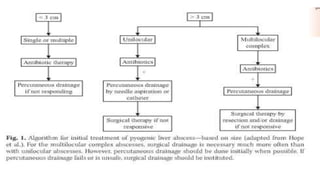 Liver Abscesses Algorithm Liver abscess .pptx