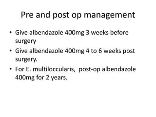 Pre and post op management
• Give albendazole 400mg 3 weeks before
surgery
• Give albendazole 400mg 4 to 6 weeks post
surgery.
• For E. multiloccularis, post-op albendazole
400mg for 2 years.
 