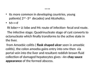 ….
• Its more common in developing countries, young
patients( 2nd
-3rd
decades) and Alcoholics.
• M>>>F
Rt lobe>> Lt lobe and Mc route of infection- fecal oral route.
The infective stage; Quadrinucleate stage of cyst converts to
octanucleate which finally transforms to the active state in
the liver.
from Amoebic colitis ( flask shaped ulcer seen in amoebic
colitis), the colon amoeba gains entry into smv then via
portal vein into the liver and resultant reddish brown fluid
collection of damaged hepatocytes gives –An chay sauce
appearance of the formed abscess.
 