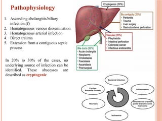 Liver abscess. Briefly explained including new techniques of management ...