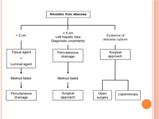 Liver abscess. Briefly explained including new techniques of management ...