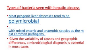 Comprehensive Overview of Liver Abscess: Causes, Diagnosis, and ...