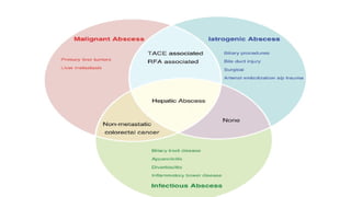 Liver Abscesses Algorithm Comprehensive Overview of Liver Abscess: Causes, Diagnosis, and ...