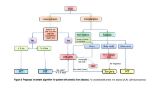Liver Abscesses Algorithm Comprehensive Overview of Liver Abscess: Causes, Diagnosis, and ...