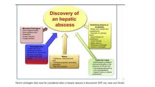 Liver Abscesses Algorithm Comprehensive Overview of Liver Abscess: Causes, Diagnosis, and ...