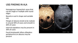 liver abscess with management and classification | PPTX