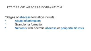 liver abscess with management and classification | PPTX