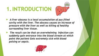 LIVER ABSCESS summary power point slides | PPTX