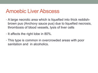 Amoebic Liver Abscess
• A large necrotic area which is liquefied into thick reddish-
brown pus (Anchovy sauce pus) due to liquefied necrosis,
thrombosis of blood vessels, lysis of liver cells
• It affects the right lobe in 80%.
• This type is common in overcrowded areas with poor
sanitation and in alcoholics.
 
