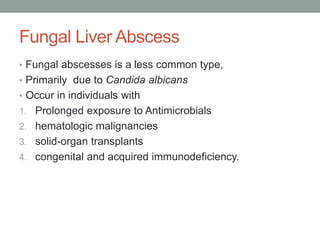 Fungal Liver Abscess
• Fungal abscesses is a less common type,
• Primarily due to Candida albicans
• Occur in individuals with
1. Prolonged exposure to Antimicrobials
2. hematologic malignancies
3. solid-organ transplants
4. congenital and acquired immunodeficiency.
 
