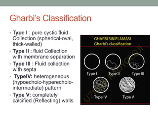 Gharbi’s Classification
• Type I : pure cystic fluid
Collection (spherical-oval,
thick-walled)
• Type II : fluid Collection
with membrane separation
• Type III : Fluid collection
with septa
• TypeIV: heterogeneous
(hypoechoic-hyperechoic-
intermediate) pattern
• Type V: completely
calcified (Reflecting) walls
 