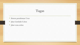 Tugas
• Sistem pertahanan Usus
• Jalur Limfatik Colon
• Jalur vena colon
 