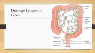 Drainage Lymphatic
Colon
 
