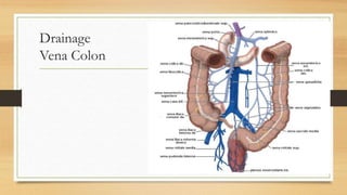 Drainage
Vena Colon
 