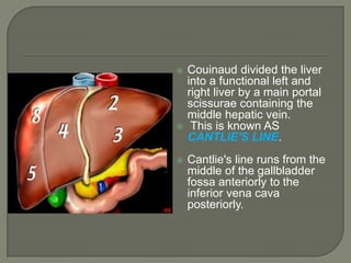 Couinaud divided the liver into a functional left and right liver by a main portal scissurae containing the middle hepatic vein.This is known as Cantlie's line. Cantlie's line runs from the middle of the gallbladder fossaanteriorly to the inferior vena cava posteriorly.