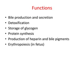 Functions
•   Bile production and secretion
•   Detoxification
•   Storage of glycogen
•   Protein synthesis
•   Production of heparin and bile pigments
•   Erythropoiesis (in fetus)
 