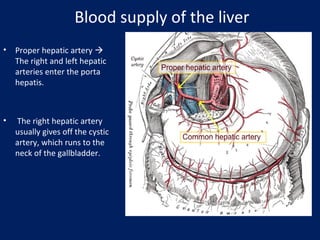 Surgical Anatomy of the Liver : Ηepatectomies - Dimitris P. Korkolis | PPT