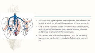 – The traditional eight-segment anatomy of the liver relates to the
hepatic arterial, portal, and biliary drainage of these segments.
– Each of these segments can be considered as a functional unit,
with a branch of the hepatic artery, portal vein and bile duct,
and drained by a branch of the hepatic vein.
– The caudate lobe is defined as segment I, and the remaining
segments are numbered in a clockwise fashion upto segment
VIII .
 