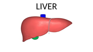 liver anatomy with picture slideshowssss | PPTX