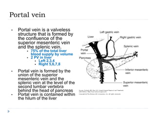 Portal vein
• Portal vein is a valveless
structure that is formed by
the confluence of the
superior mesenteric vein
and the splenic vein.
 75% of the total liver
blood supply by volume
 2 PV in liver
 Left 2,3,4
 Right 5,6,7,8
• Portal vein is formed by the
union of the superior
mesenteric vein and the
splenic vein at the level of the
second lumbar vertebra
behind the head of pancreas
• Portal vein is contained within
the hilum of the liver
 