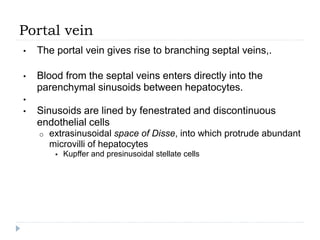 Portal vein
• The portal vein gives rise to branching septal veins,.
• Blood from the septal veins enters directly into the
parenchymal sinusoids between hepatocytes.
•
• Sinusoids are lined by fenestrated and discontinuous
endothelial cells
o extrasinusoidal space of Disse, into which protrude abundant
microvilli of hepatocytes
 Kupffer and presinusoidal stellate cells
 