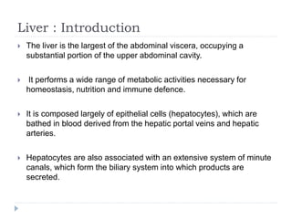 Liver : Introduction
 The liver is the largest of the abdominal viscera, occupying a
substantial portion of the upper abdominal cavity.
 It performs a wide range of metabolic activities necessary for
homeostasis, nutrition and immune defence.
 It is composed largely of epithelial cells (hepatocytes), which are
bathed in blood derived from the hepatic portal veins and hepatic
arteries.
 Hepatocytes are also associated with an extensive system of minute
canals, which form the biliary system into which products are
secreted.
 