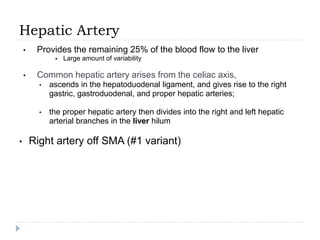 Hepatic Artery
• Provides the remaining 25% of the blood flow to the liver
 Large amount of variability
• Common hepatic artery arises from the celiac axis,
• ascends in the hepatoduodenal ligament, and gives rise to the right
gastric, gastroduodenal, and proper hepatic arteries;
• the proper hepatic artery then divides into the right and left hepatic
arterial branches in the liver hilum
• Right artery off SMA (#1 variant)
 