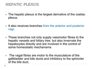 HEPATIC PLEXUS
 The hepatic plexus is the largest derivative of the coeliac
plexus.
 It also receives branches from the anterior and posterior
vagi.
 These branches not only supply vasomotor fibres to the
hepatic vessels and biliary tree, but also innervate the
hepatocytes directly and are involved in the control of
some homeostatic mechanisms.
 The vagal fibres are motor to the musculature of the
gallbladder and bile ducts and inhibitory to the sphincter
of the bile duct.
 