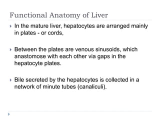 Functional Anatomy of Liver
 In the mature liver, hepatocytes are arranged mainly
in plates - or cords,
 Between the plates are venous sinusoids, which
anastomose with each other via gaps in the
hepatocyte plates.
 Bile secreted by the hepatocytes is collected in a
network of minute tubes (canaliculi).
 