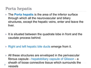 Porta hepatis
 The Porta hepatis is the area of the inferior surface
through which all the neurovascular and biliary
structures, except the hepatic veins, enter and leave the
liver.
 It is situated between the quadrate lobe in front and the
caudate process behind.
 Right and left hepatic bile ducts emerge from it.
 All these structures are enveloped in the perivascular
fibrous capsule - hepatobiliary capsule of Glisson - a
sheath of loose connective tissue which surrounds the
vessels
 