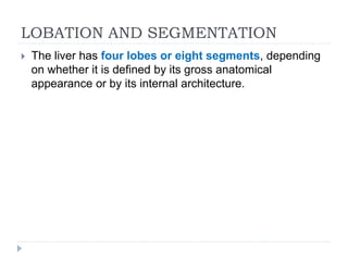 LOBATION AND SEGMENTATION
 The liver has four lobes or eight segments, depending
on whether it is defined by its gross anatomical
appearance or by its internal architecture.
 