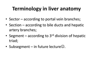 Terminology in liver anatomy
• Sector – according to portal vein branches;
• Section – according to bile ducts and hepatic
artery branches;
• Segment – according to 3rd division of hepatic
triad;
• Subsegment – in future lecture.
 