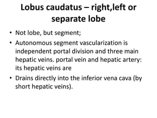 Lobus caudatus – right,left or
separate lobe
• Not lobe, but segment;
• Autonomous segment vascularization is
independent portal division and three main
hepatic veins. portal vein and hepatic artery:
its hepatic veins are
• Drains directly into the inferior vena cava (by
short hepatic veins).
 