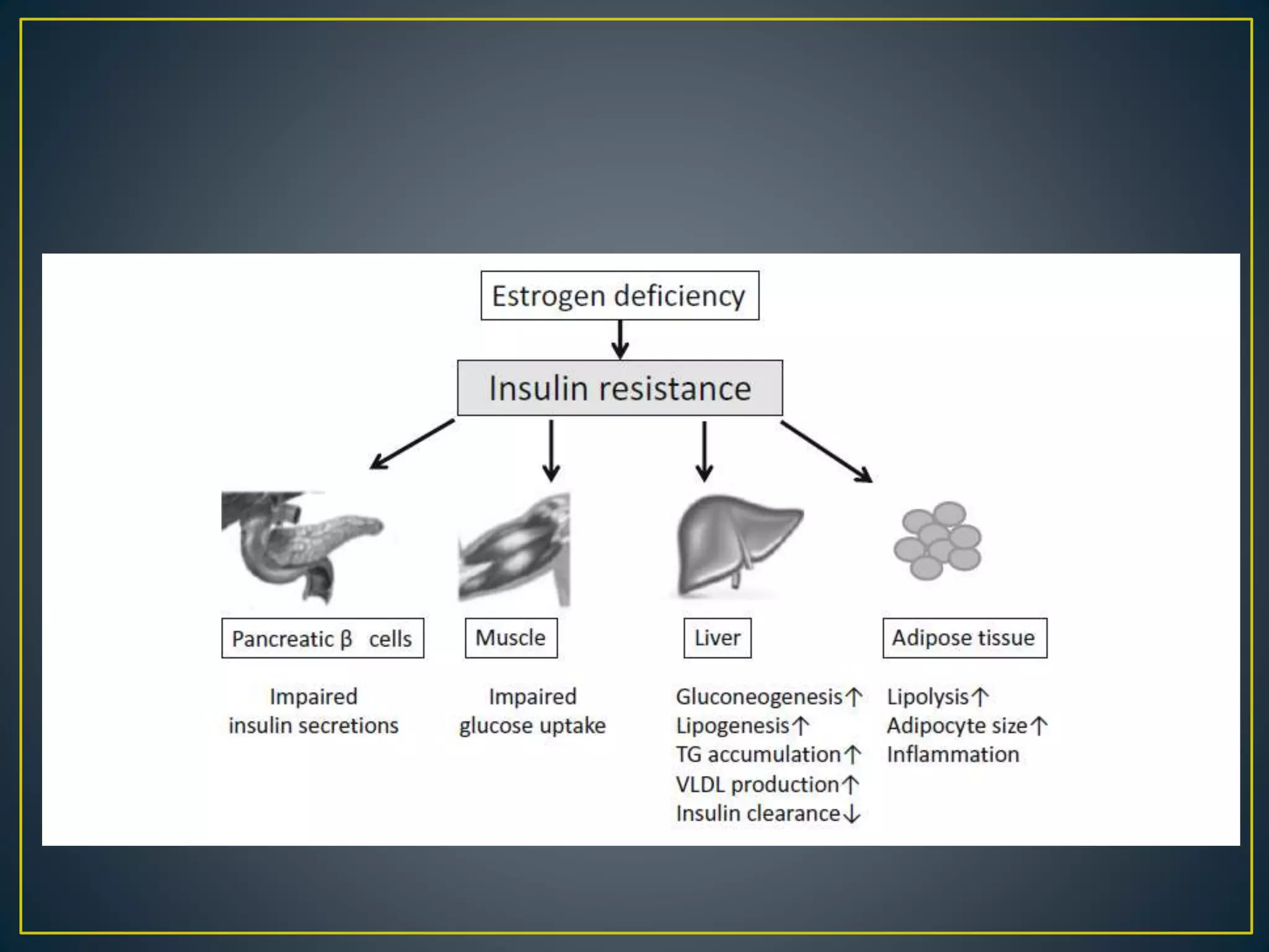 Liver visual data 5
