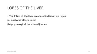 LOBES OF THE LIVER
• The lobes of the liver are classified into two types:
(a) anatomical lobes and
(b) physiological (functional) lobes.
01/14/2022 09:41 12
 