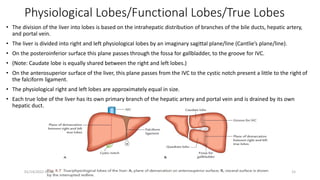 Physiological Lobes/Functional Lobes/True Lobes
• The division of the liver into lobes is based on the intrahepatic distribution of branches of the bile ducts, hepatic artery,
and portal vein.
• The liver is divided into right and left physiological lobes by an imaginary sagittal plane/line (Cantlie’s plane/line).
• On the posteroinferior surface this plane passes through the fossa for gallbladder, to the groove for IVC.
• (Note: Caudate lobe is equally shared between the right and left lobes.)
• On the anterosuperior surface of the liver, this plane passes from the IVC to the cystic notch present a little to the right of
the falciform ligament.
• The physiological right and left lobes are approximately equal in size.
• Each true lobe of the liver has its own primary branch of the hepatic artery and portal vein and is drained by its own
hepatic duct.
01/14/2022 09:41 15
 