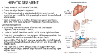 HEPATIC SEGMENT
• These are structural units of the liver.
• There are eight hepatic segments.
• The right physiological lobe is divided into anterior and
posterior parts, and the left physiological lobe into medial and
lateral parts.
• Each of these parts is further divided into upper and lower
parts and form eight surgically resectable hepatic segments.
Couinaud’s segments
• According to nomenclature of Couinaud, the hepatic
segments are numbered I to VIII.
• I to IV in the left hemiliver and V to VIII in the right hemiliver.
• From this nomenclature, the segment I&IV corresponds to the
caudate lobe and the quadrate lobe, respectively.
• Segment I to IV of the left lobe are supplied by the left branch
of hepatic artery&left branch of portal vein and drained by left
hepatic duct.
• The segments V to VIII of right lobe are supplied by right
hepatic artery&right branch of portal vein and drained by right
hepatic duct.
01/14/2022 09:41 16
 