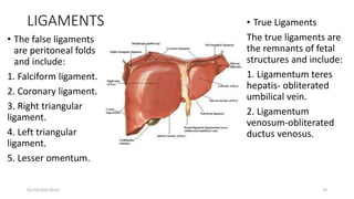 LIGAMENTS
• The false ligaments
are peritoneal folds
and include:
1. Falciform ligament.
2. Coronary ligament.
3. Right triangular
ligament.
4. Left triangular
ligament.
5. Lesser omentum.
• True Ligaments
The true ligaments are
the remnants of fetal
structures and include:
1. Ligamentum teres
hepatis- obliterated
umbilical vein.
2. Ligamentum
venosum-obliterated
ductus venosus.
01/14/2022 09:41 19
 