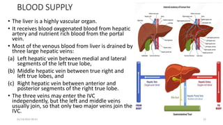 BLOOD SUPPLY
• The liver is a highly vascular organ.
• It receives blood oxygenated blood from hepatic
artery and nutrient rich blood from the portal
vein.
• Most of the venous blood from liver is drained by
three large hepatic veins:
(a) Left hepatic vein between medial and lateral
segments of the left true lobe,
(b) Middle hepatic vein between true right and
left true lobes, and
(c) Right hepatic vein between anterior and
posterior segments of the right true lobe.
• The three veins may enter the IVC
independently, but the left and middle veins
usually join, so that only two major veins join the
IVC.
01/14/2022 09:41 22
 