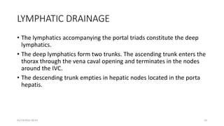 LYMPHATIC DRAINAGE
• The lymphatics accompanying the portal triads constitute the deep
lymphatics.
• The deep lymphatics form two trunks. The ascending trunk enters the
thorax through the vena caval opening and terminates in the nodes
around the IVC.
• The descending trunk empties in hepatic nodes located in the porta
hepatis.
01/14/2022 09:41 24
 