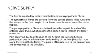 NERVE SUPPLY
• The liver is supplied by both sympathetic and parasympathetic fibres.
• The sympathetic fibres are derived from the coeliac plexus. They run along
the vessels in the free margin of the lesser omentum and enter the porta
hepatis.
• The parasympathetic fibres are derived from the hepatic branch of the
anterior vagal trunk, which reaches the porta hepatis through the lesser
omentum.
• Pain occurring due to distension of the hepatic capsule and hepatic
peritoneum due to inflammation and swelling of the liver (hepatitis) run
along the sympathetic fibres. The pain is often referred to the epigastrium
and sometimes to the shoulder.
01/14/2022 09:41 25
 