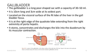 GALLBLADDER
• The gallbladder is a long pear-shaped sac with a capacity of 30–50 ml.
• It is 10cm long and 3cm wide at its widest part.
• Located on the visceral surface of the Rt lobe of the liver in the gall
bladder fossa.
• It is at the right edge of the quadrate lobe extending from the right
extremity of porta hepatis.
• It stores, concentrates and discharges the bile into the duodenum by
its muscular contraction.
01/14/2022 09:41 31
 